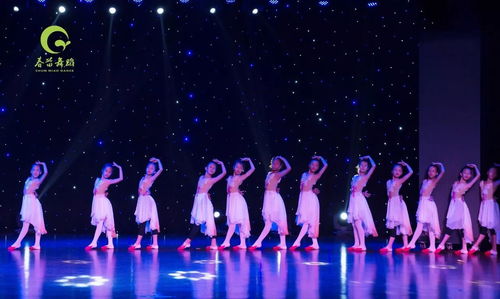 春苗舞蹈藝術節(jié)首屆基本功展示今天下午1 00在婺城區(qū)文化館拉開序幕