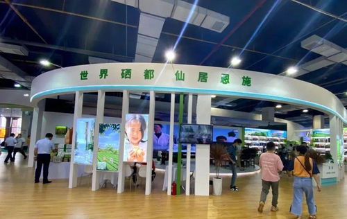 建南多款產品閃耀硒博會，舞今信息引領科技新風尚